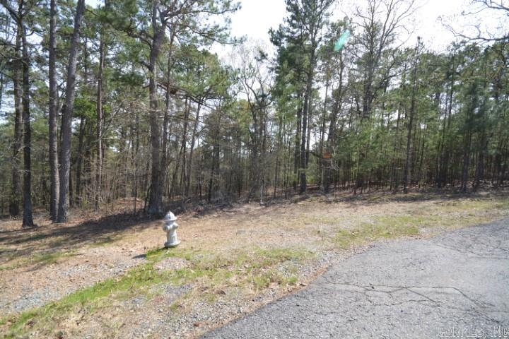 Maxines Replat of Mills Mountain - Land