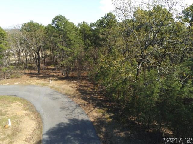 Maxines Replat of Mills Mountain - Land