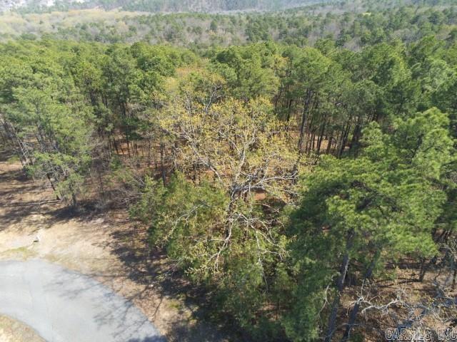 Maxines Replat of Mills Mountain - Land