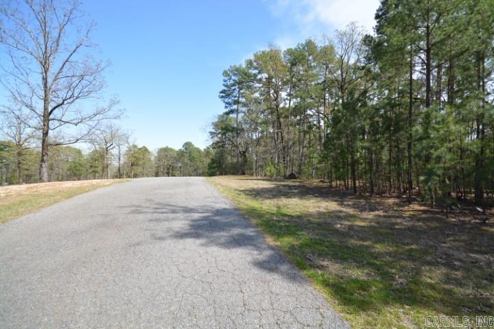 Maxines Replat of Mills Mountain - Land
