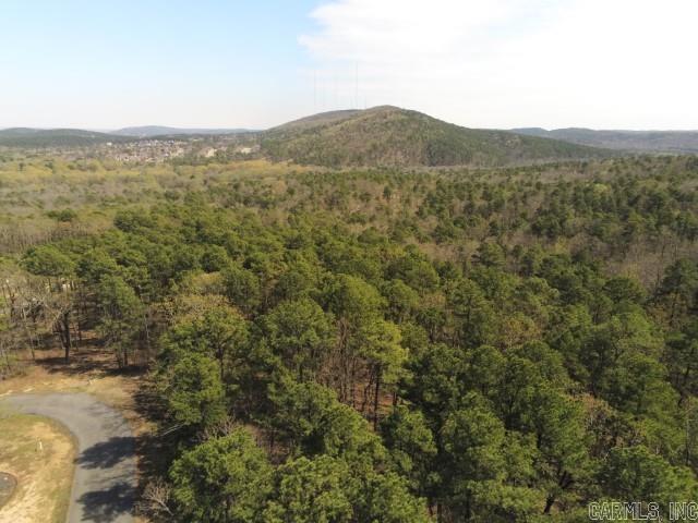 Maxines Replat of Mills Mountain - Land