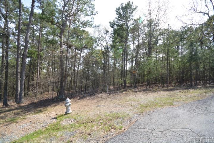 Maxines Replat of Mills Mountain - Land