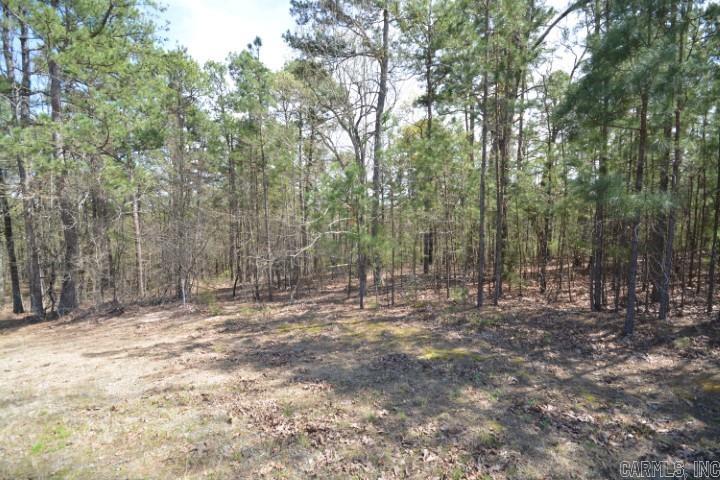 Maxines Replat of Mills Mountain - Land