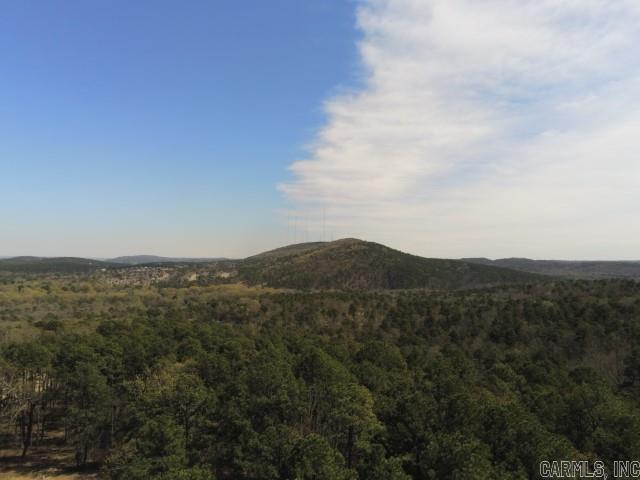 Maxines Replat of Mills Mountain - Land