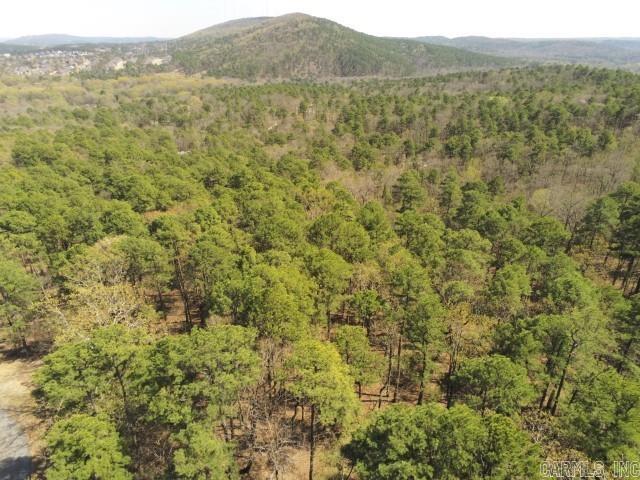 Maxines Replat of Mills Mountain - Land