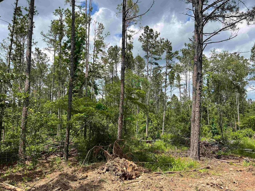 Looking for acreage on paved road very close to two boat ramps,3 miles to Amity landing, Cox creek landing, DeGray Lake. Great place for a vacation cabin or a country home. 2+/- miles from the Caddo river. 4 miles to Amity, 30 minutes from Hot Springs. This 4.25 acres+/- is just the place for you. Public water at the road.