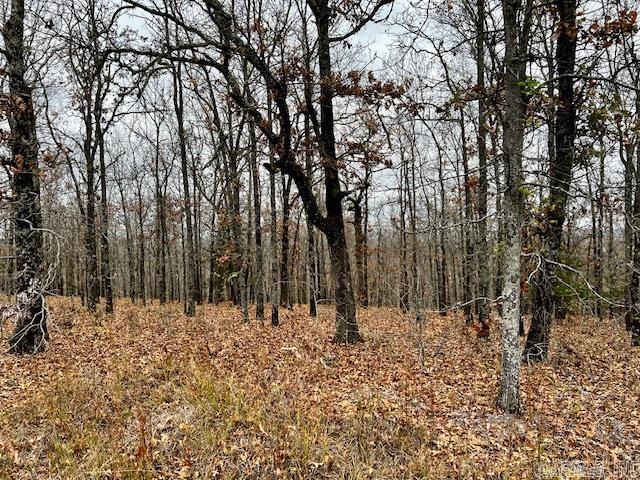 Whisperwood Heights - Land