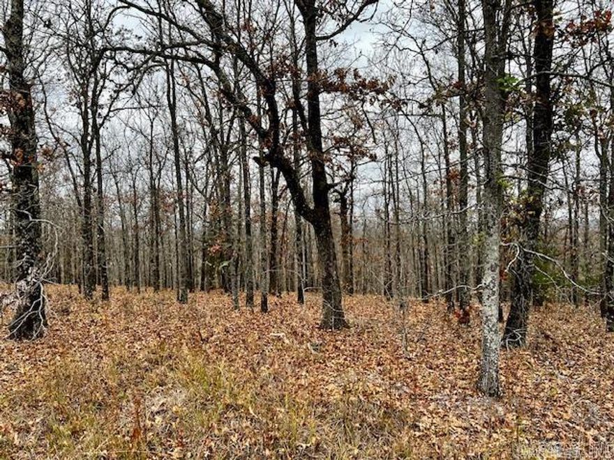 Discover the perfect blend of privacy and nature on this beautiful 8-acre wooded property. Towering trees, peaceful surroundings, and abundant wildlife create an ideal setting for a secluded homesite. If your looking for a quiet escape from the hustle and bustle, this land offers endless possibilities. Enjoy the freedom of country living with the convenience of nearby amenities — a rare find you won’t want to miss!