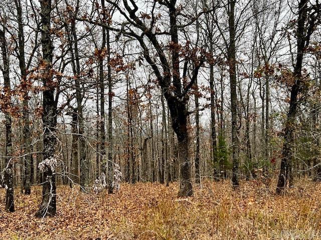 Whisperwood Heights - Land