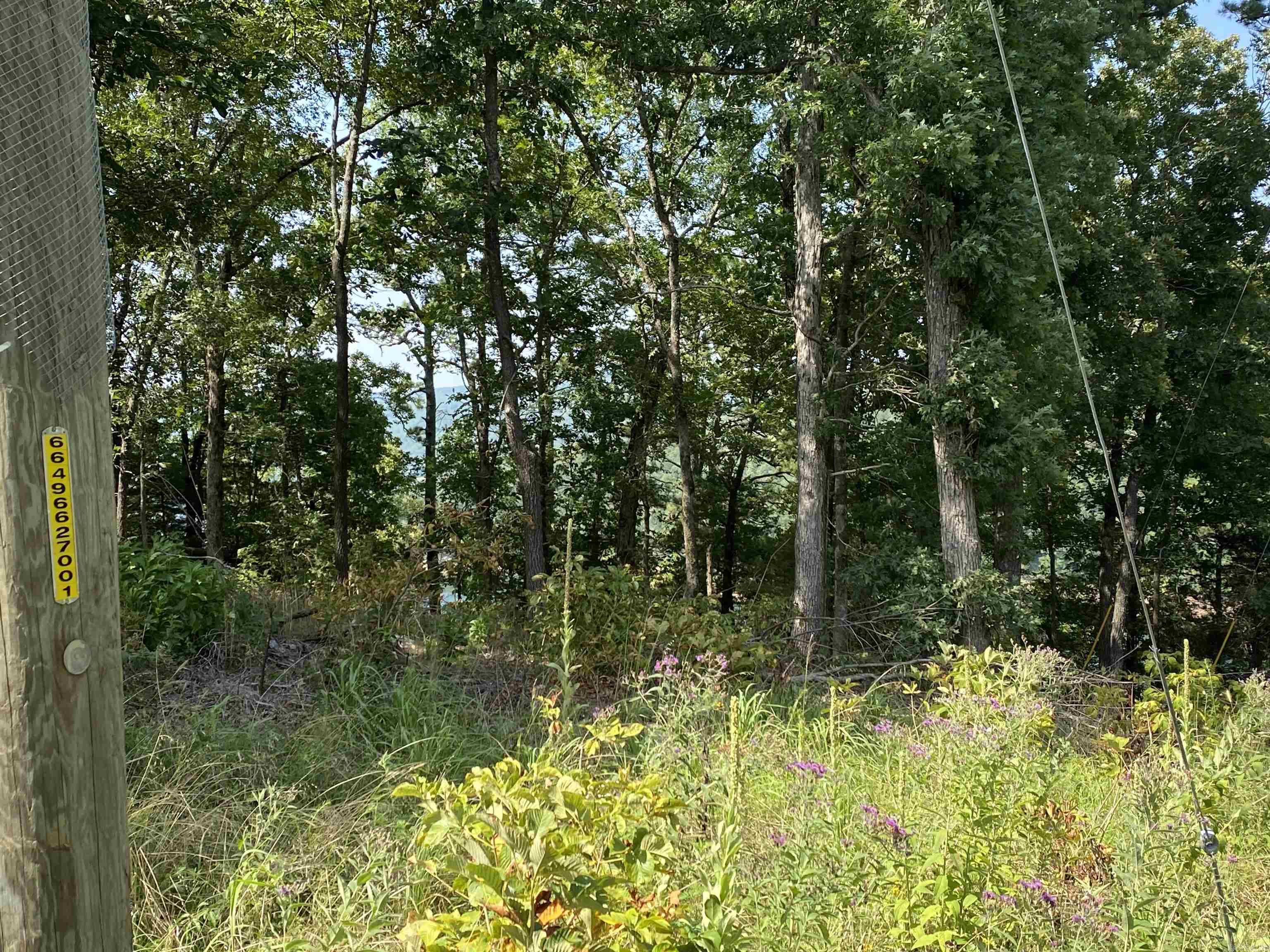 The Bluffs - Land