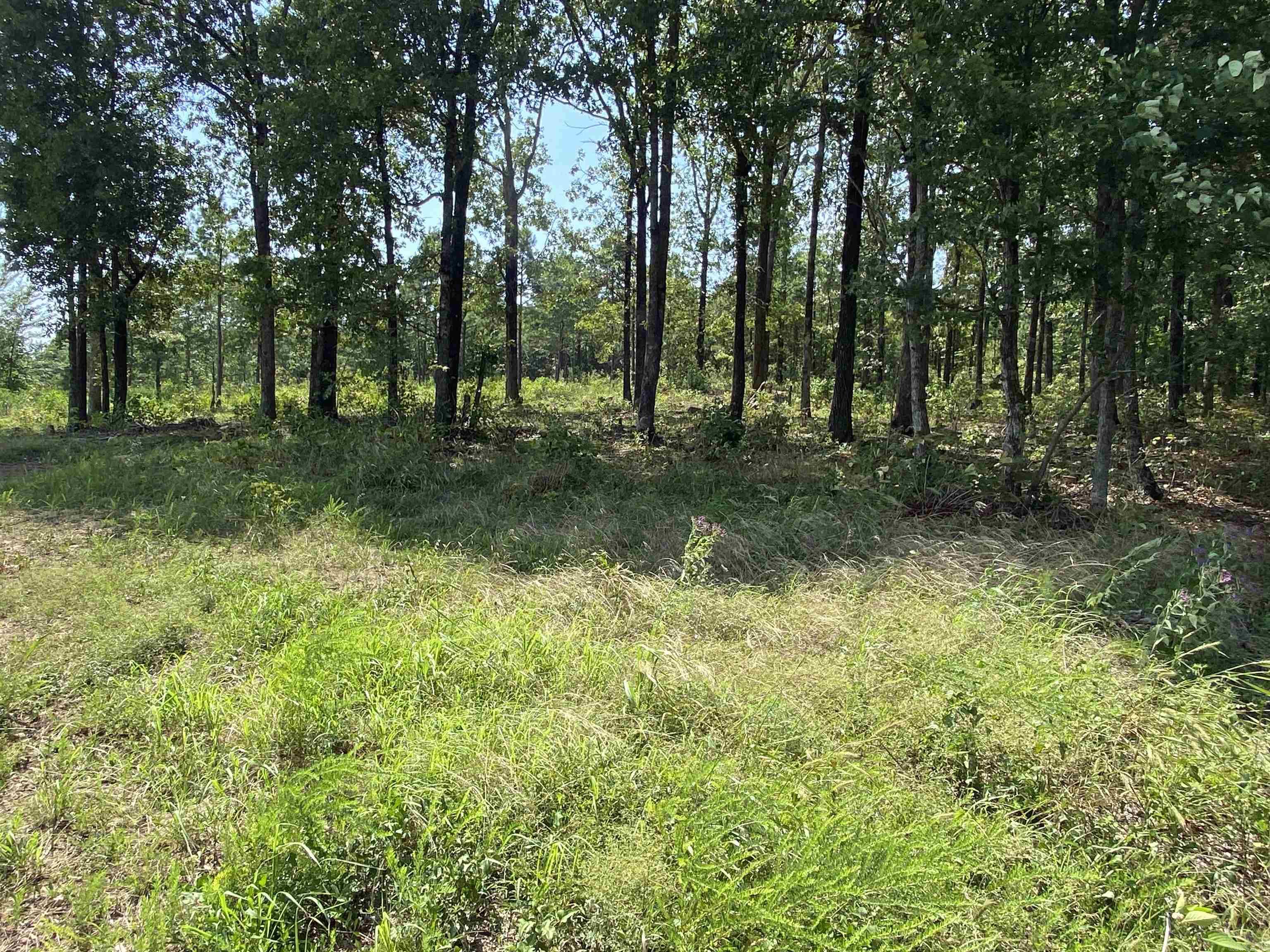 The Bluffs - Land