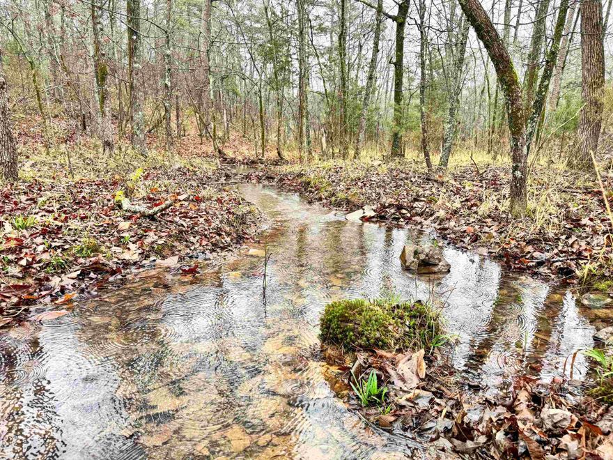 Beautiful lot in High Point Subdivision located in the Arkansas River Valley, just four miles northwest of Mayflower and less than 10 minutes from the nearest on-ramp to I-40. The subdivision is private and tucked away on a dead-end county road. This lot is 3.1 acres. The land is very buildable with a slow downward slope from the road. At the very back, a portion of Beaverdam Creek cuts through the northeast corner of the property. This tract has lots of oak and hickory trees as well as few winged elms, Deerberry shrubs, muscadine vines, and wild blackberries. It’s common to see abundant wildlife, including white-tailed deer, rabbits, gray squirrels and many species of birds.  There are several very nice homes along the ridge, with residents whom all have the self-sufficiency of their own water wells. Minimum building square footage is 1,450 and no mobile homes are allowed. More lots are available.