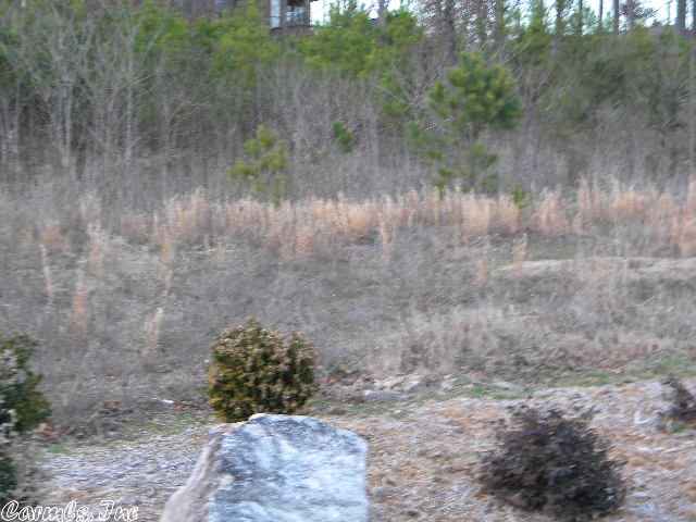 Pleasant Hill - Land