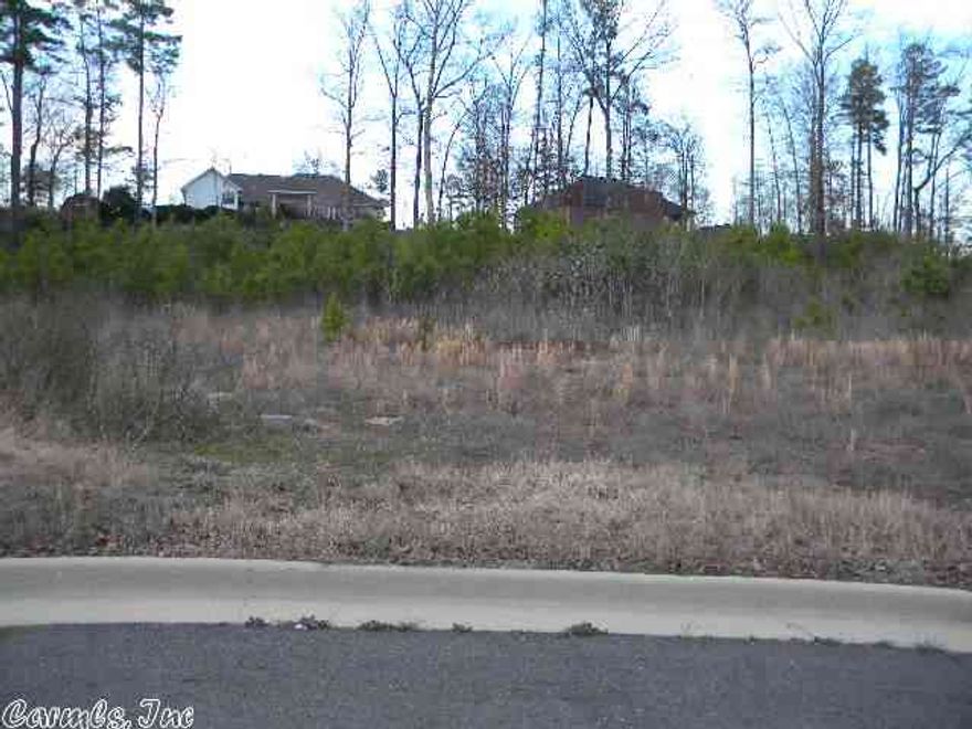 Nice lot in subdivision of nice homes. Drastically reduced! Must see!