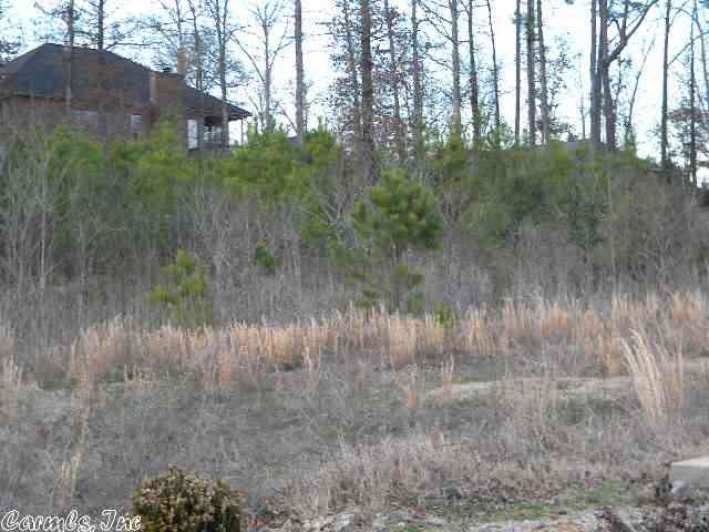 Pleasant Hill - Land