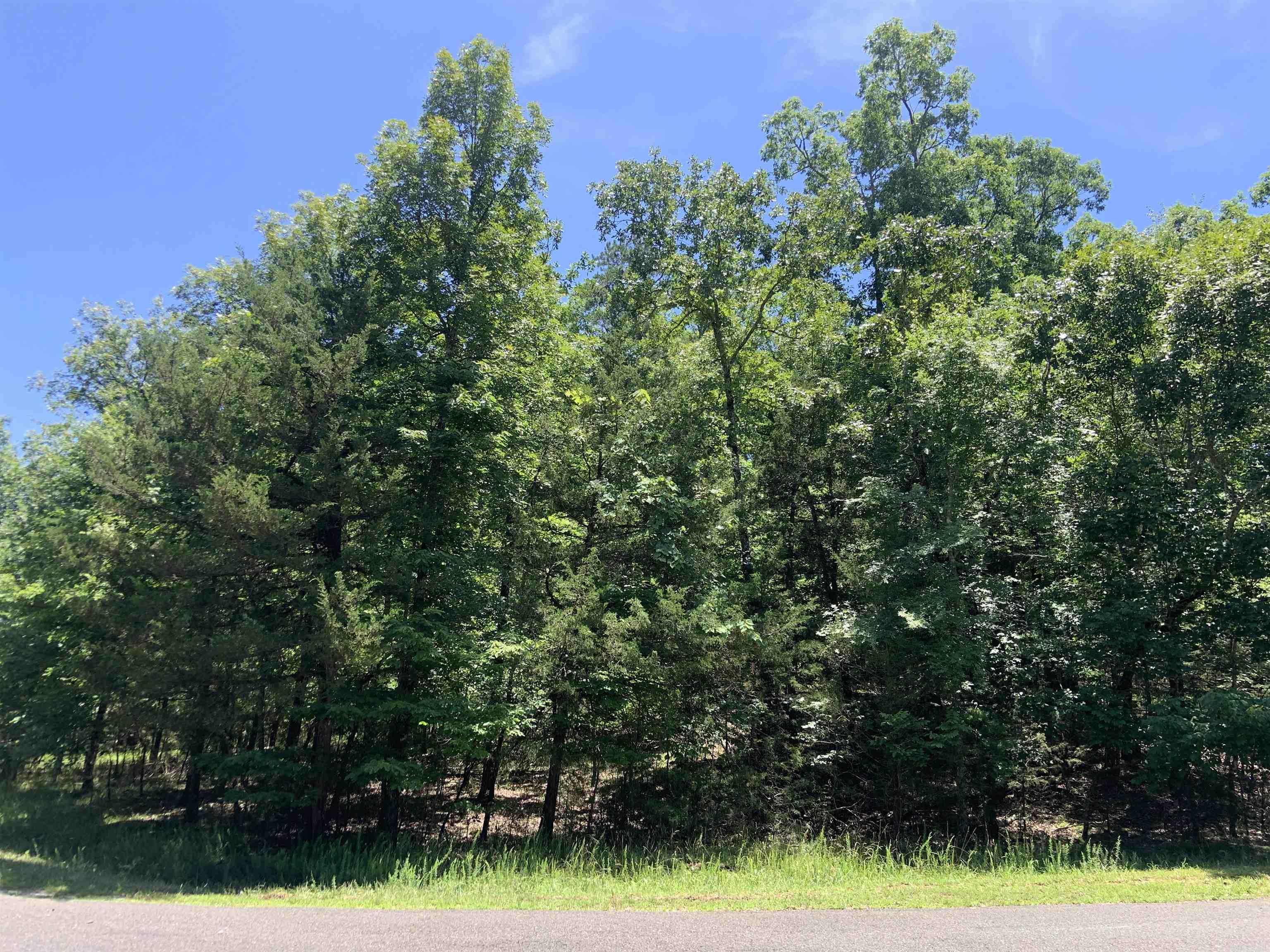 Discover serenity in this picturesque, wooded lot, offering a tranquil escape from the hustle and bustle of city life. Nestled amidst towering trees and lush foliage, this parcel of land presents an ideal canvas for your dream home or retreat. With nature as your backdrop, envision a harmonious blend of privacy and convenience. Seize this opportunity to build your sanctuary amidst natureās embrace. Multiple floor plans are available, builder is ready to mobilize. First-time buyers of Hot Springs Village are subject to a one-time buy-in fee of $250.00 payable to HSV POA at Closing.