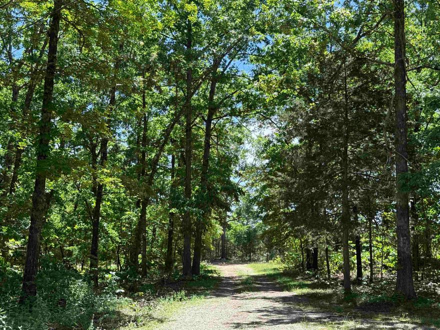 Approximately 10 acres, mobile home, well, septic, container made in to a shop, the start of a foundation to build a new home, and lots of privacy!! If you are looking for country living, this is the place for you! The property is mostly wooded, with some clearing around the mobile home.  The mobile home is in need of some work, but is currently liveable, with a new deck just added on to the front.  The container on the property has been converted in to a shop that is powered by solar panels.  This is a rare find, so don't waste any time making an appointment to take a look!