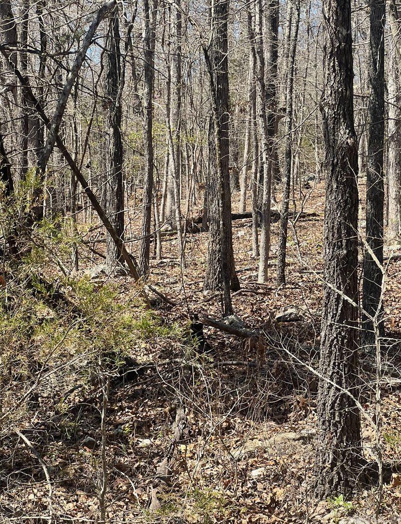 Owner financing available- This wooded lot is a great spot to build your forever home, vacation home or plan for retirement. This lot is on a dead end circle drive. All three of the lots we have available take up the entire dead-end road. The Horseshoe Bend Water Department will have Water & Sewer information for you concerning water service and trash service and road maintenance. That number is 870-670-5885 or you can email at water@cityhsb.org The electricity is provided by North Arkansas Electric Cooperative. Their number is 870-895-3221. There are houses nearby since this land is all the way at the end of the street which backs up closer to current utility poles. Horseshoe Bend has so much to do for the whole family like fishing, canoeing, golfing, bowling, swimming, etc. Diamond Lake & Crown Lake are a 5-minute drive from these lots! Crown Point Resort is also 5-minutes offering local jobs and entertainment! Horseshoe Bend is also ATV friendly, with a permit. There are several outer roads that aren't being maintained to go riding on! Lots of creeks, wildlife and hills to explore!