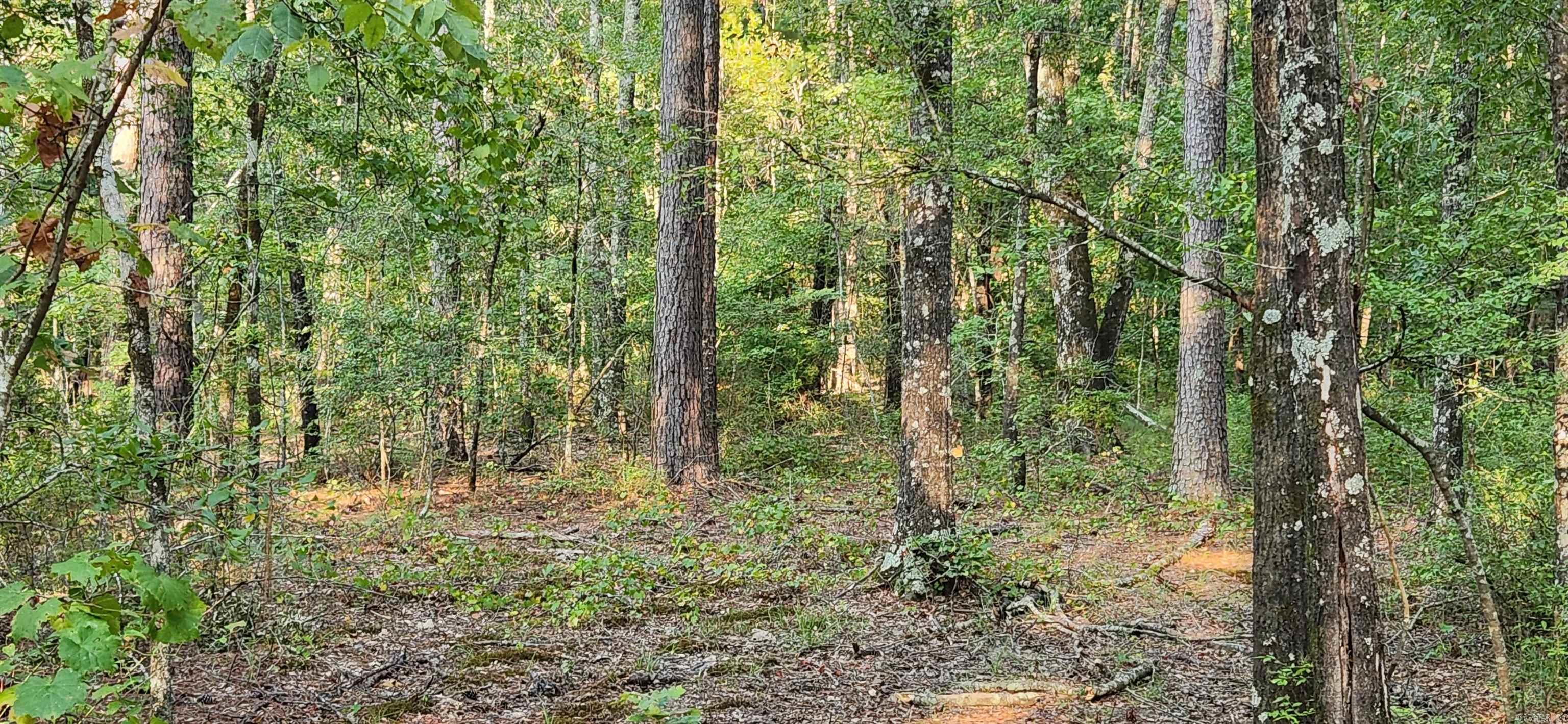 Secluded 10 Acres of Timberland ā Ideal for Cabin or Hunting Retreat! This stunning 10-acre property offers a unique mix of hardwood and Pine timber, providing a beautiful, secluded spot for building your dream cabin or establishing a hunting club. Whether you're an avid hunter or enjoy off-roading, you'll love the abundant opportunities for deer hunting and ATV riding. The timber was professionally cruised in 2021.
