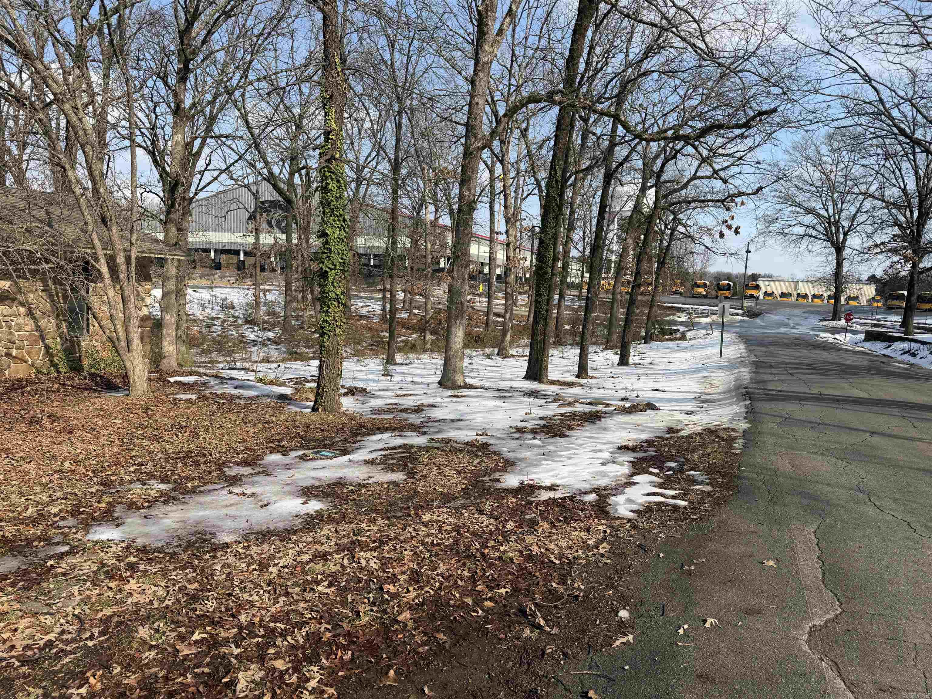 BELLAMY - Residential