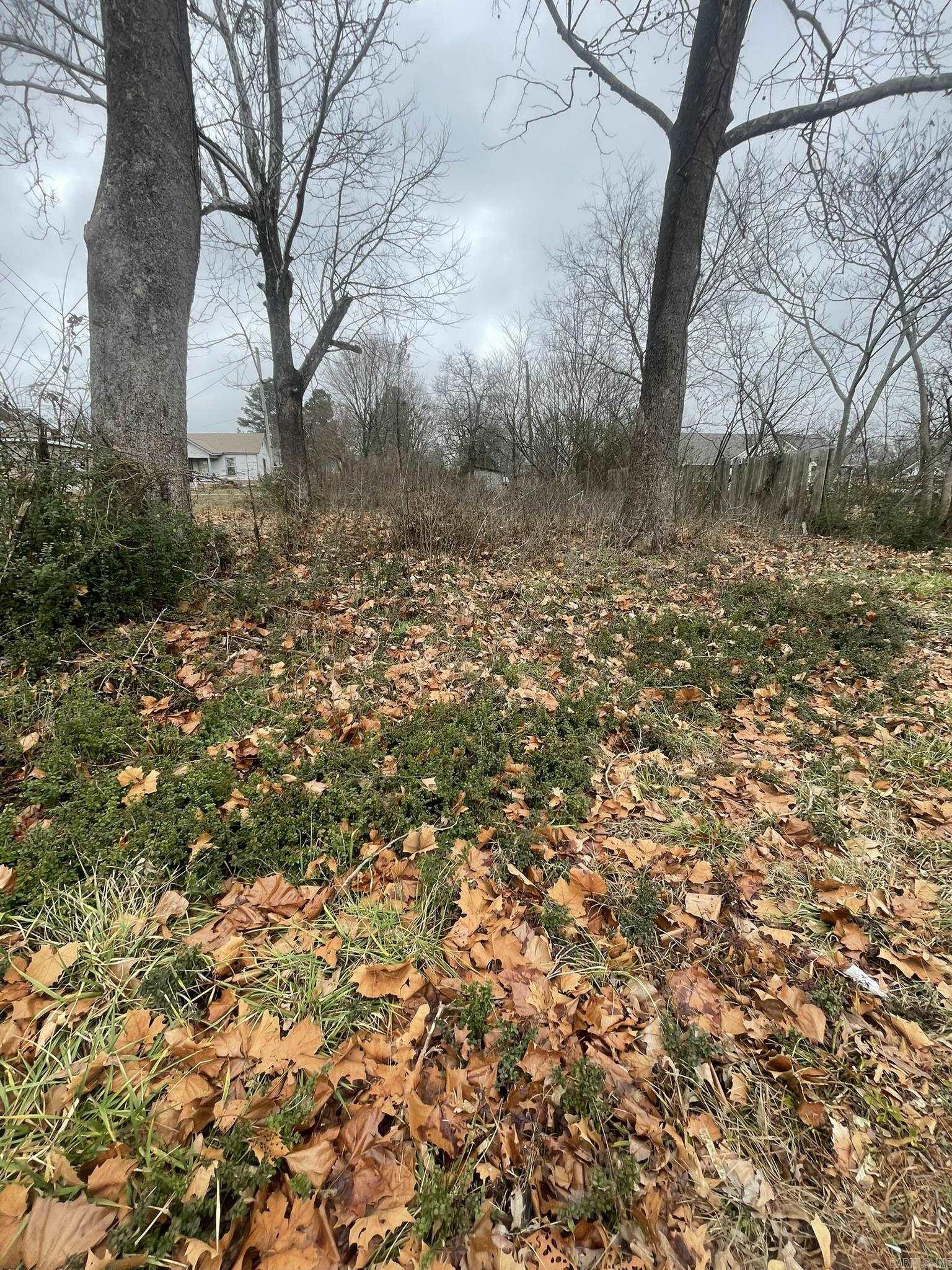 Mena Original - Land