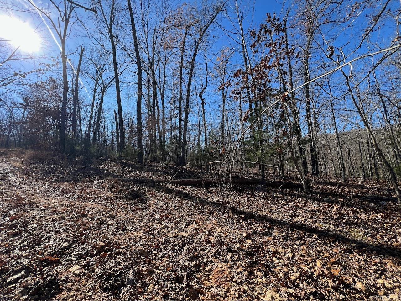 White Horse Mountain - Land