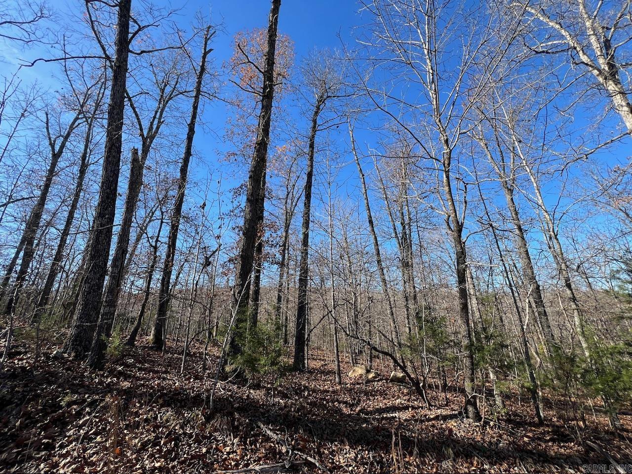 White Horse Mountain - Land