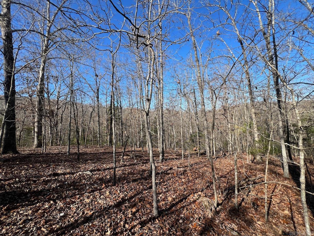 White Horse Mountain - Land