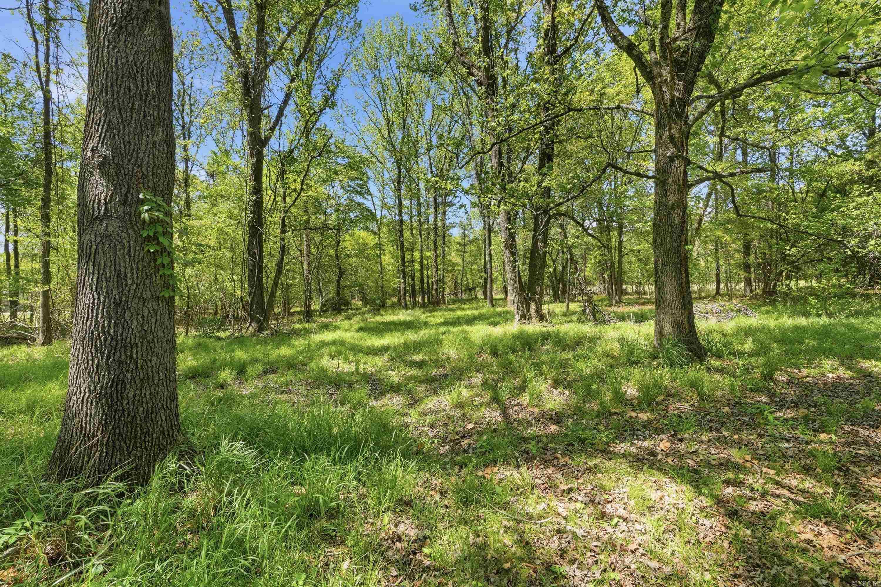 JACKSONVILLE - Residential