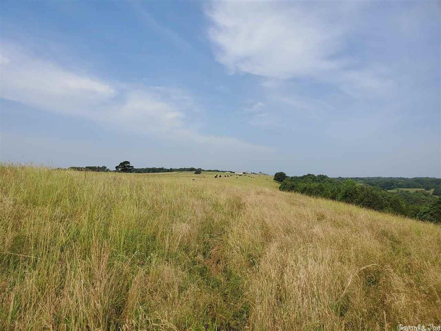 Price and Acreage Reduction - Now 336.66+- Acres Ranch/hunting ground.  Backs up to Wooly Hollow State Park.  Excellent hunting and pasture ground.   Ponds on the property.  Available under separate listing @ 19108772 is 150 acres with a house, shop, large storage and cattle working pole barn.  Previously listed as one unit.  Now separated as of 5/6/2021.