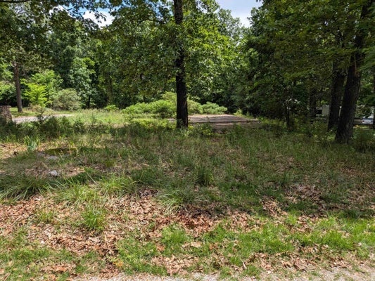DOGWOOD TRL, WILLIFORD, AR 72482 - Image e1ae2934ba60b4b9c950ace4656ee2bc/529406933