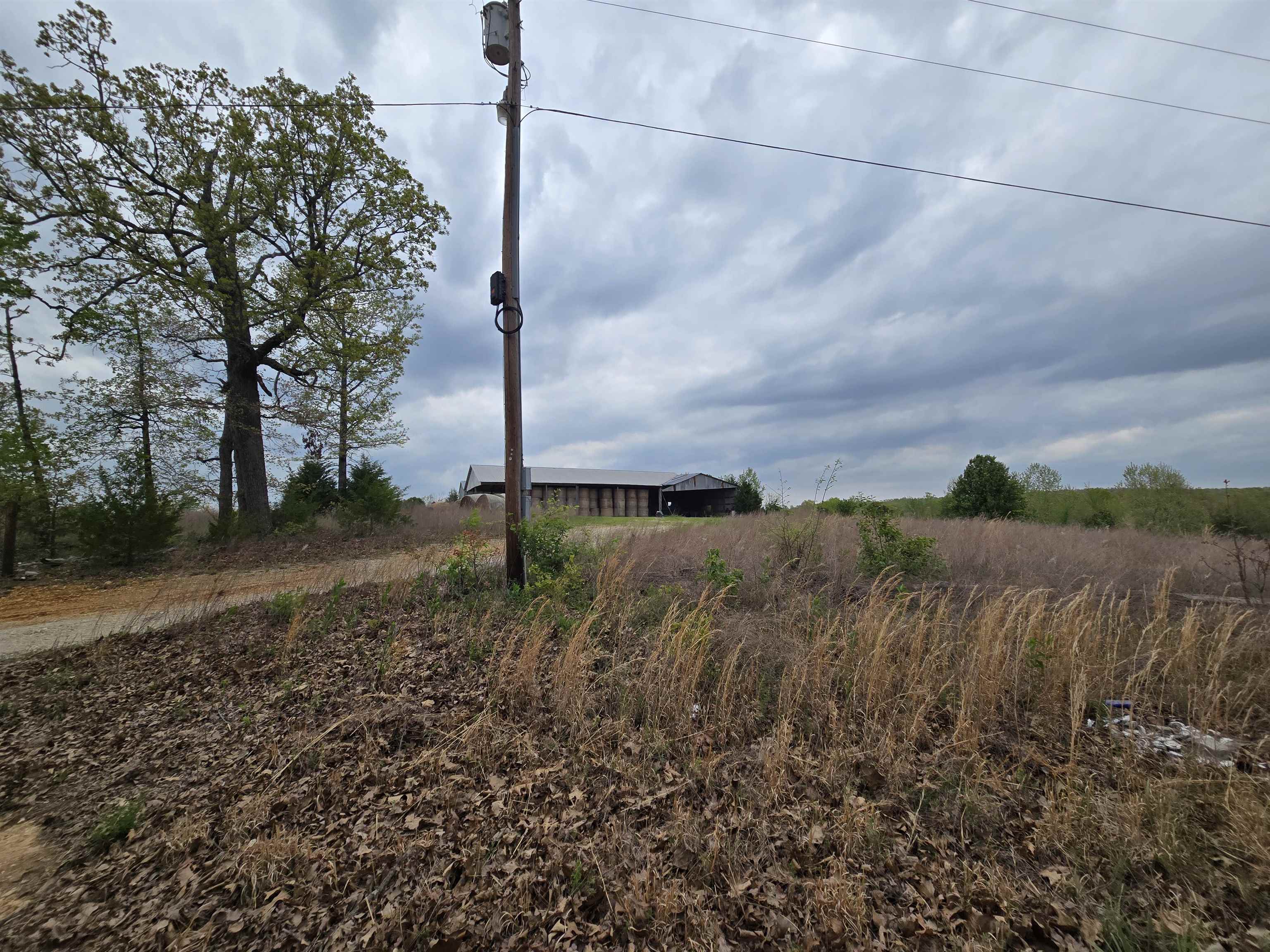 6000 sq ft pole shed 2625 sq ft shed side by side, most all concrete flooring. Recently used for hay storage. Mostly wooded acreage with cleared area around the buildings. About 10 acres pasture and remainder wooded. Sits SW of Mammoth Spring, less than 5 miles from schools