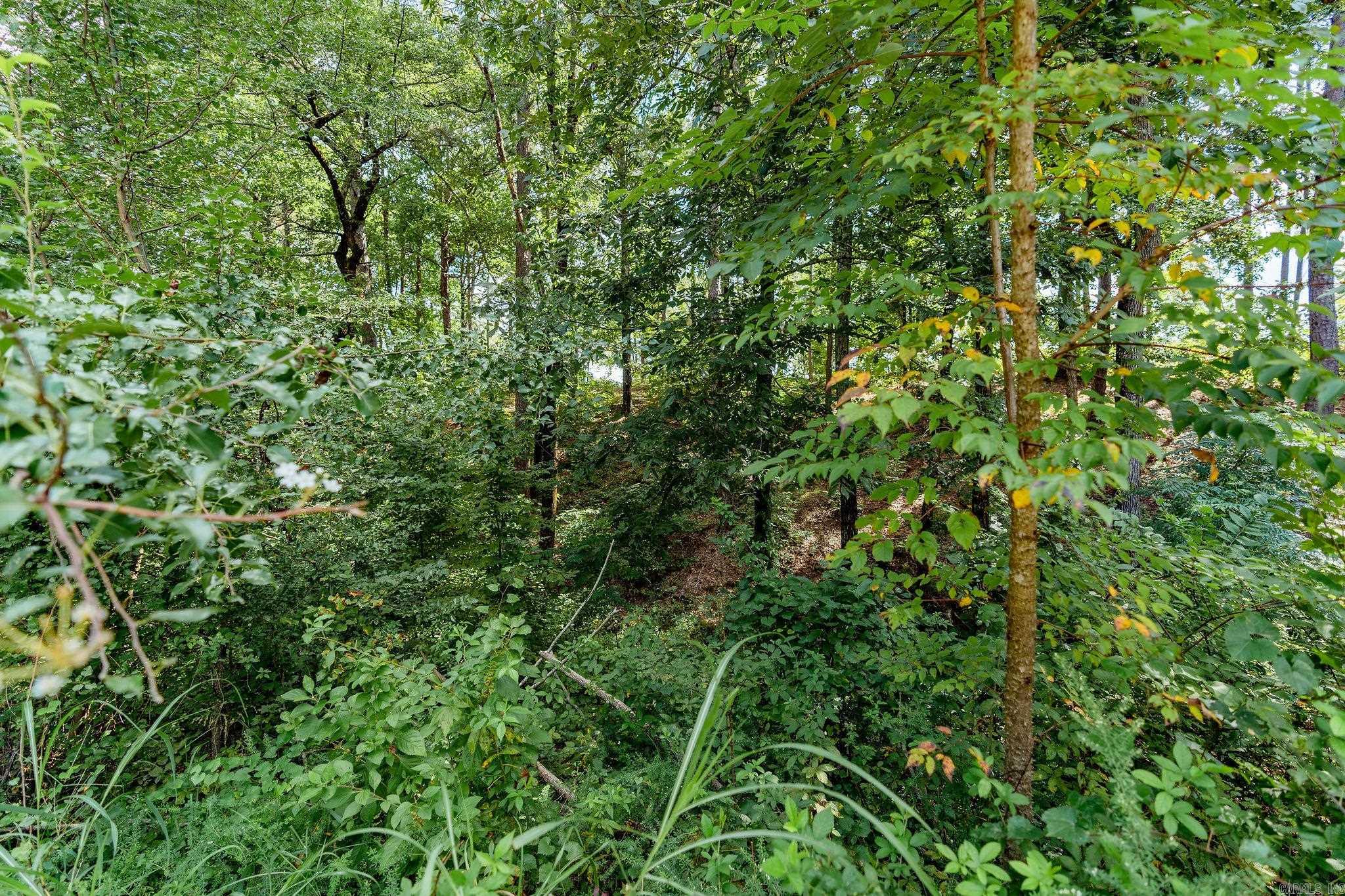 Little Red River Estates - Land