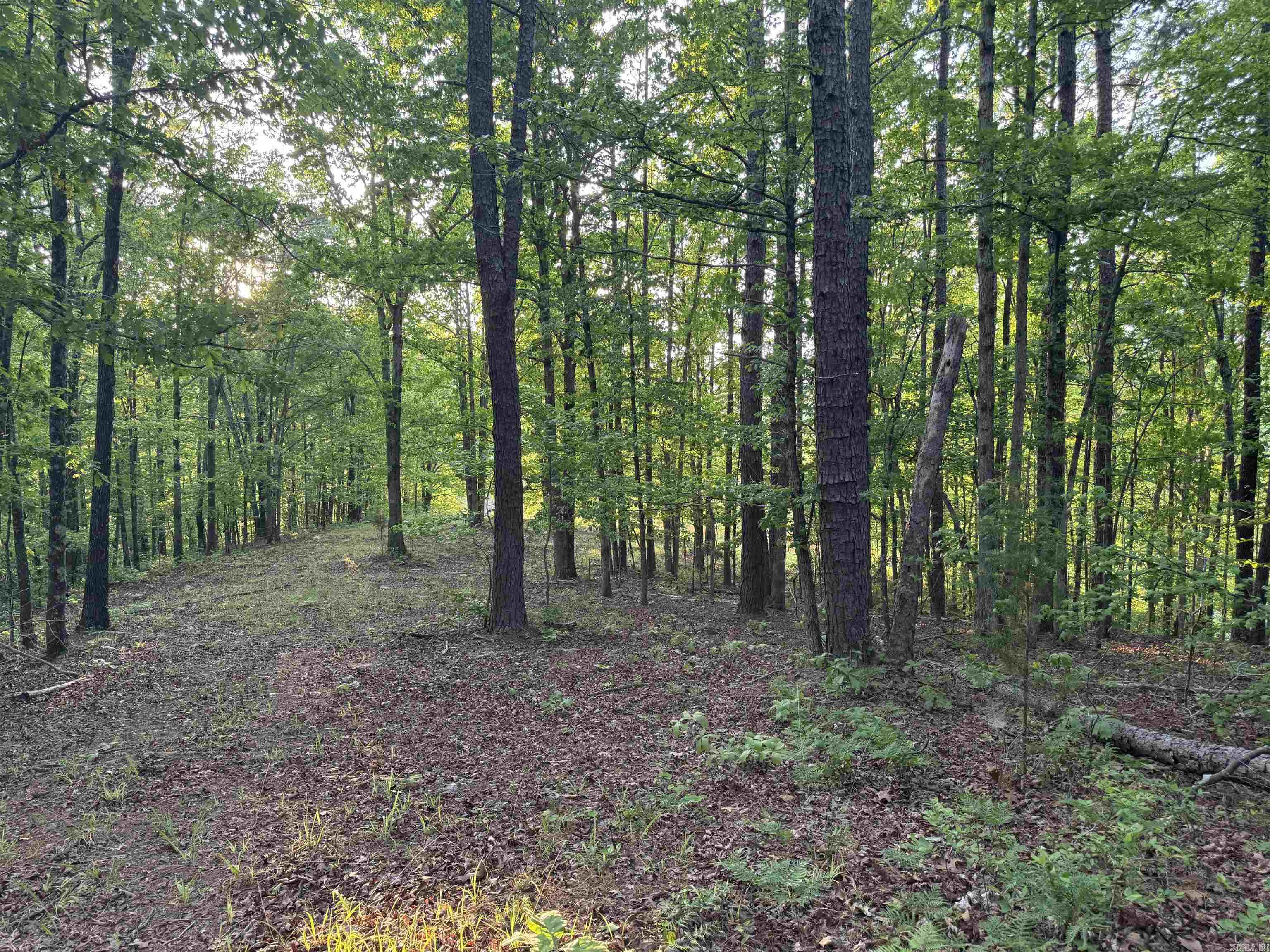 LONSDALE, TOWN OF - Residential