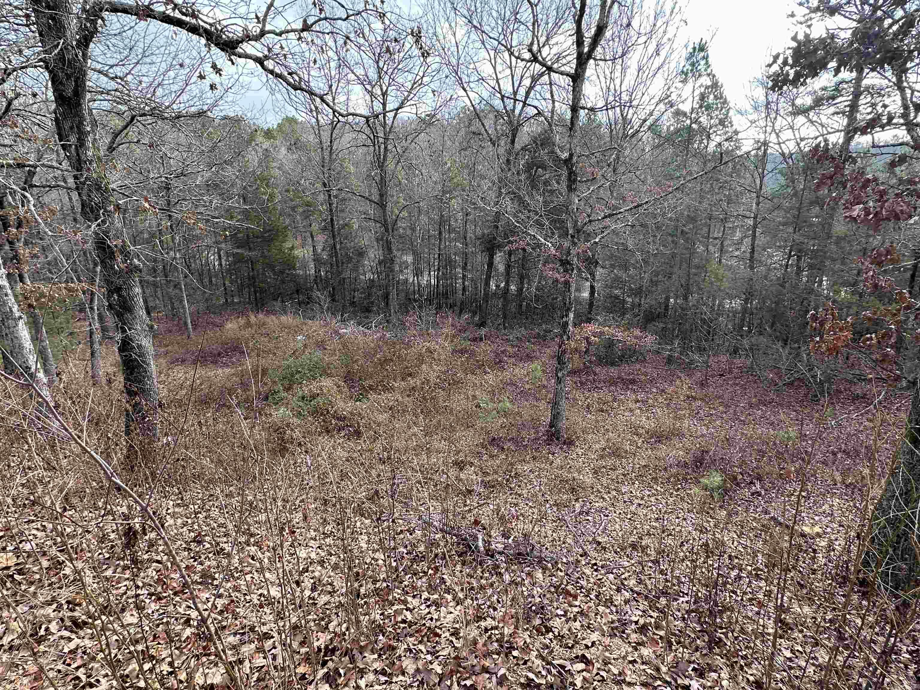 BROOMFIELD - Residential