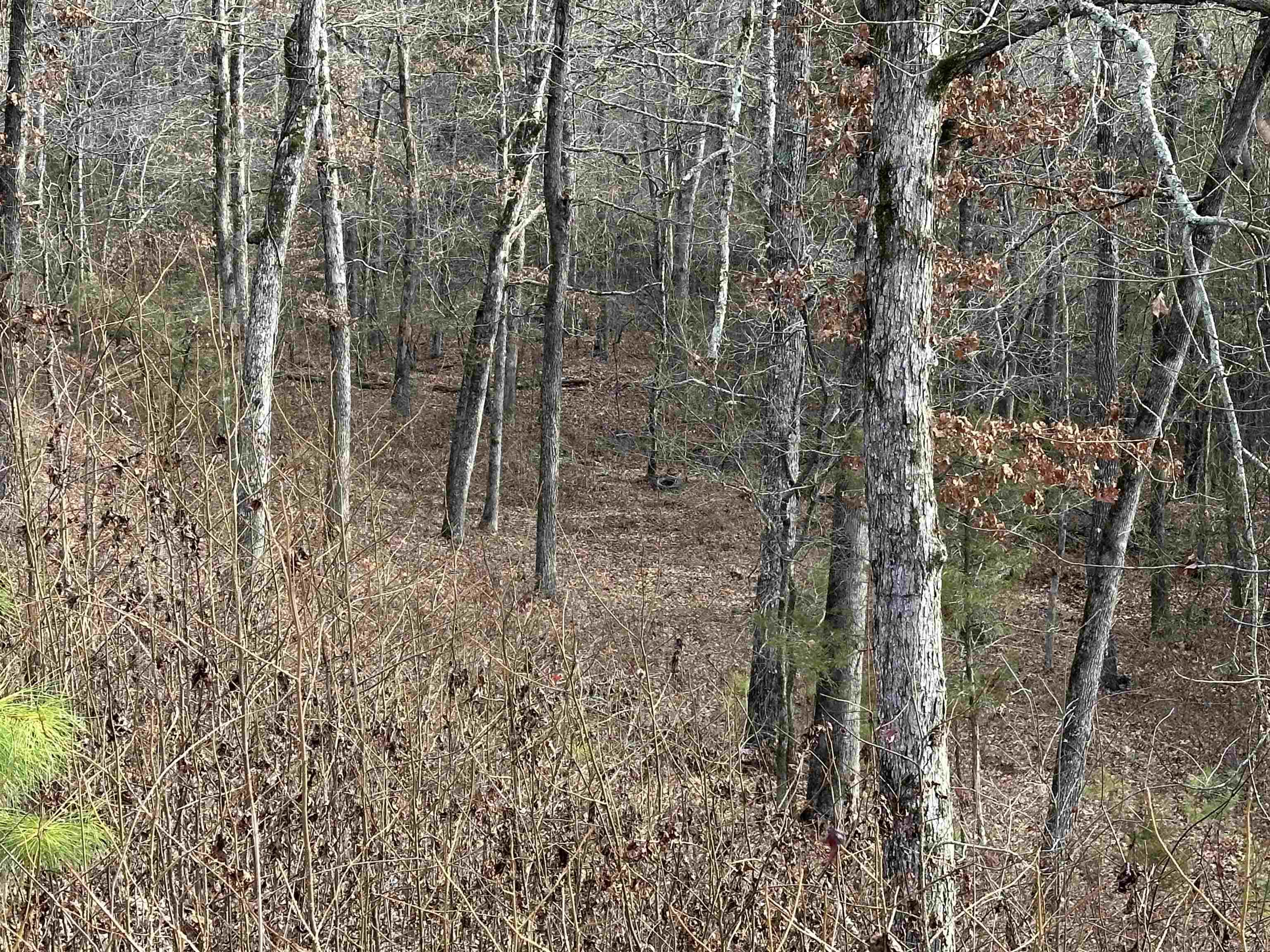 BROOMFIELD - Residential