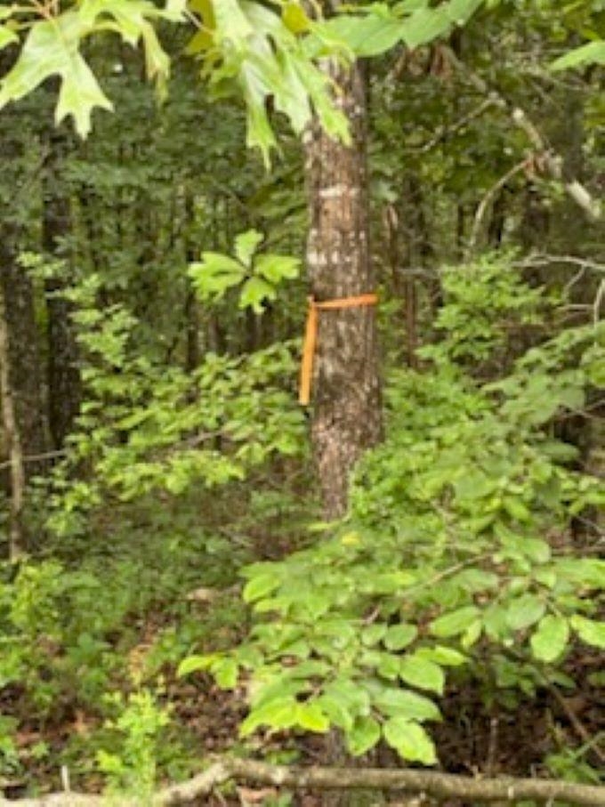 Not in Subdivision - Land