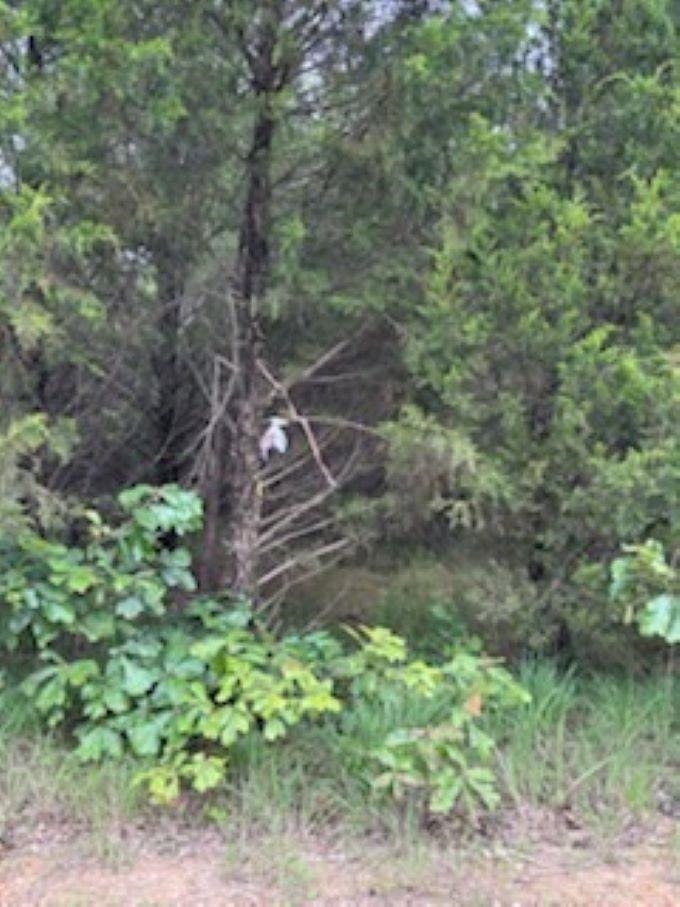 Not in Subdivision - Land