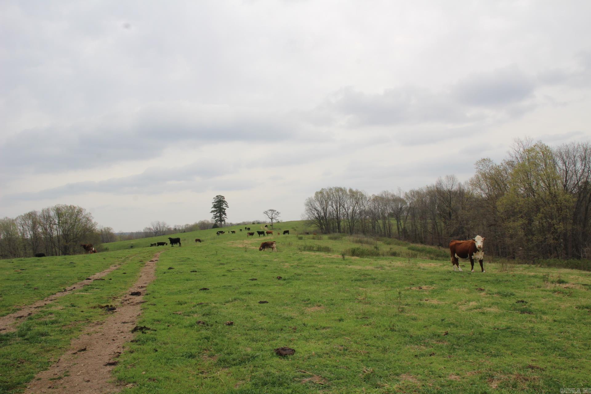 Not in Subdivision - Land
