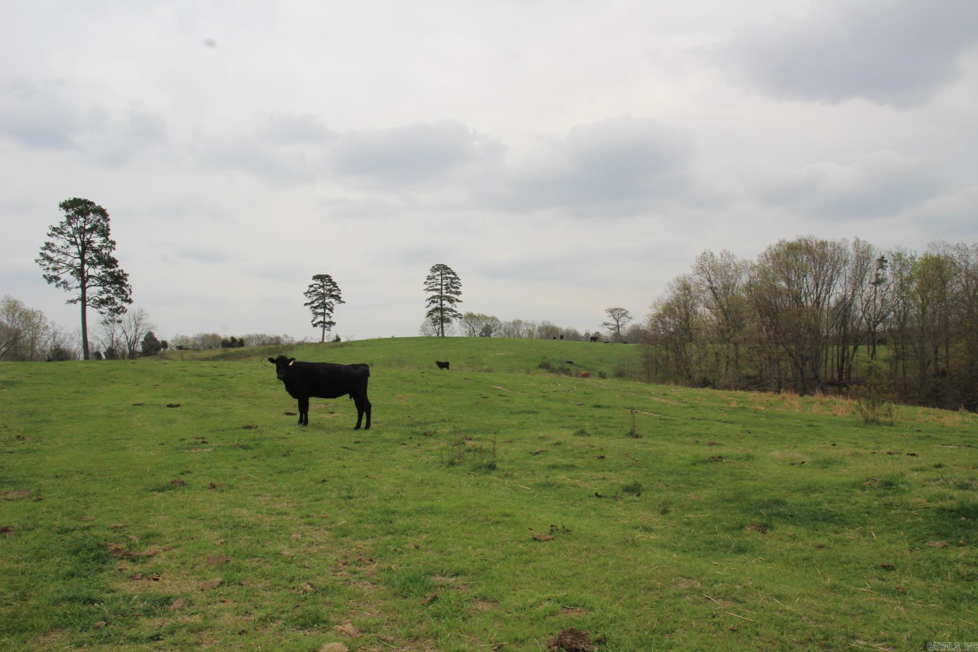 Not in Subdivision - Land
