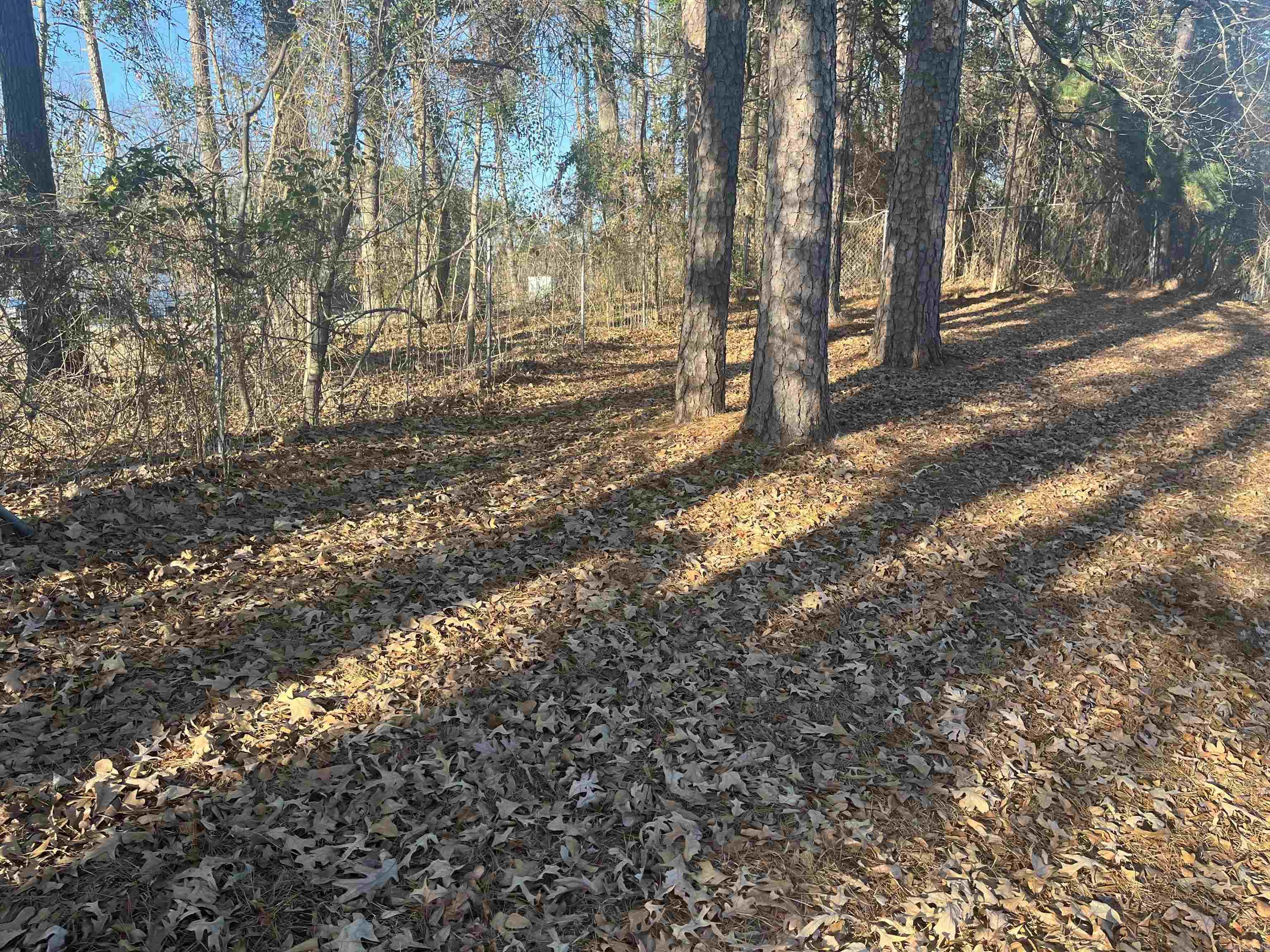 PINE HILLS PARK ADDN - Residential