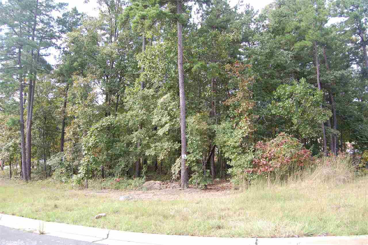 CHENAL VALLEY ADDN - Land