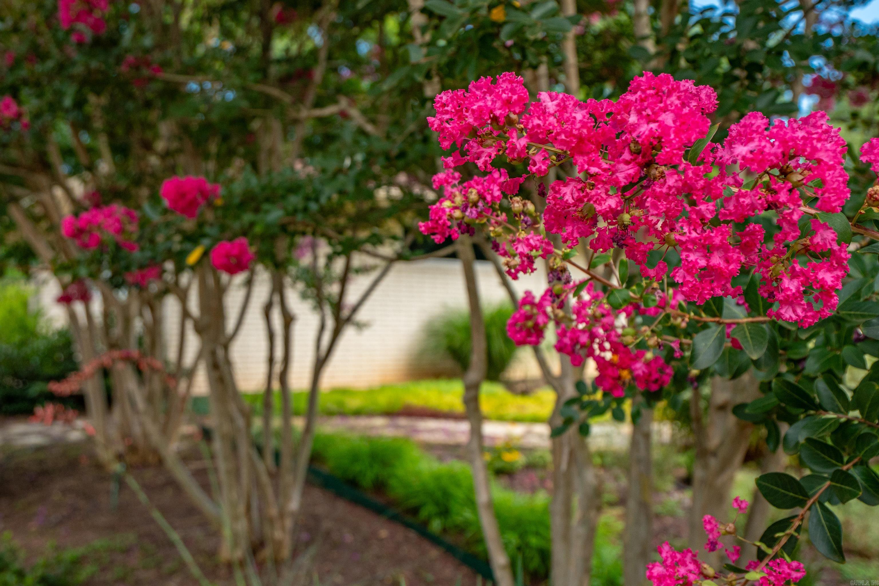 Vadea Terrace - Residential