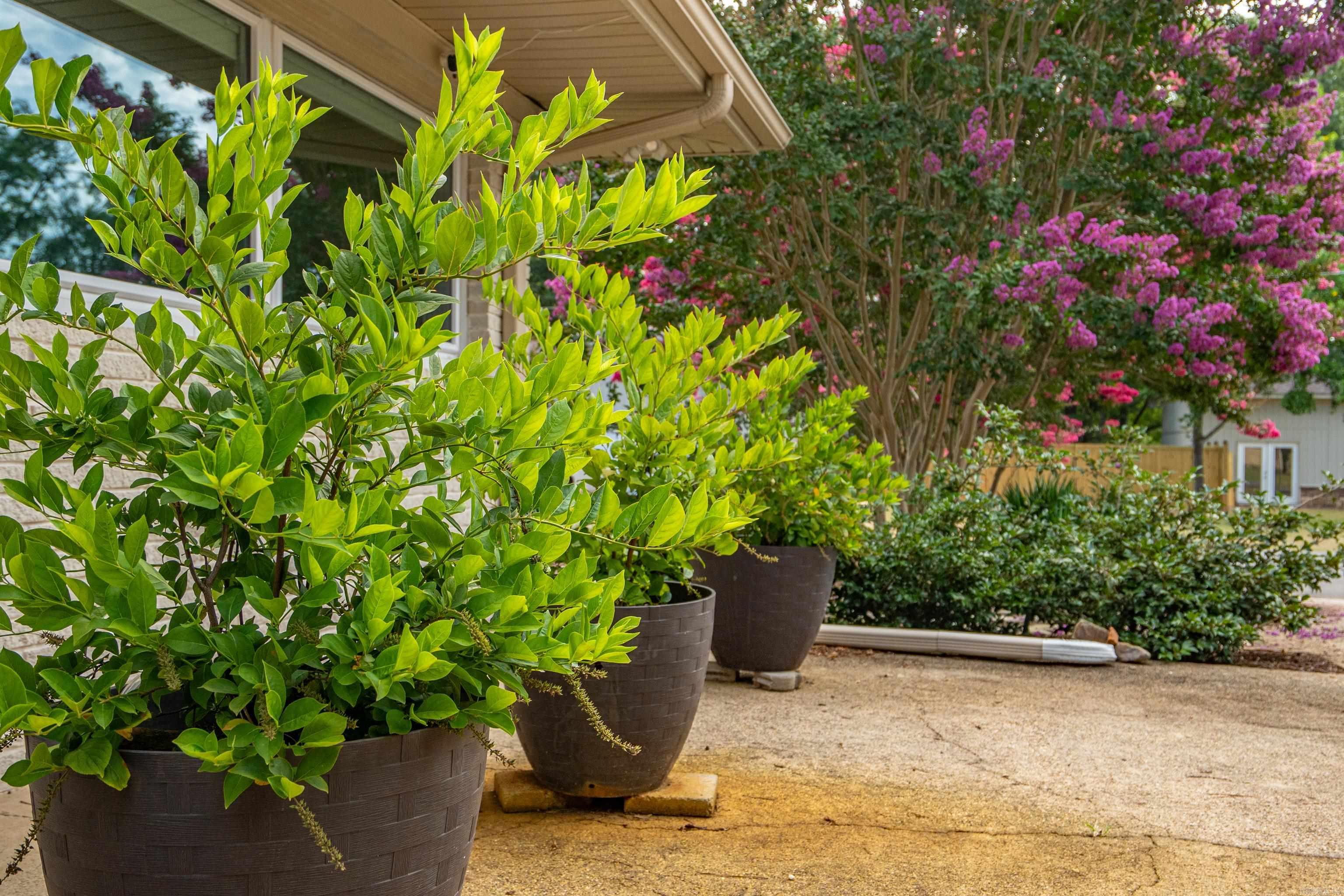 Vadea Terrace - Residential