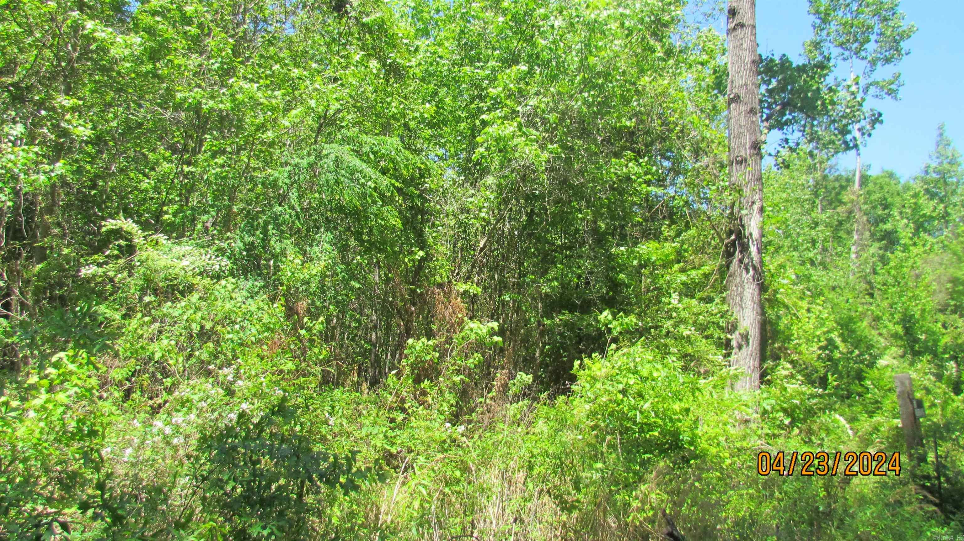 Metes & Bounds - Land