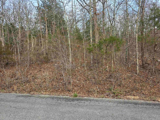 BOANNA DR, CHEROKEE VILLAGE, AR 72529 - Image e228a38e8d78e2225e4fc4c8ee4318da/1673386503