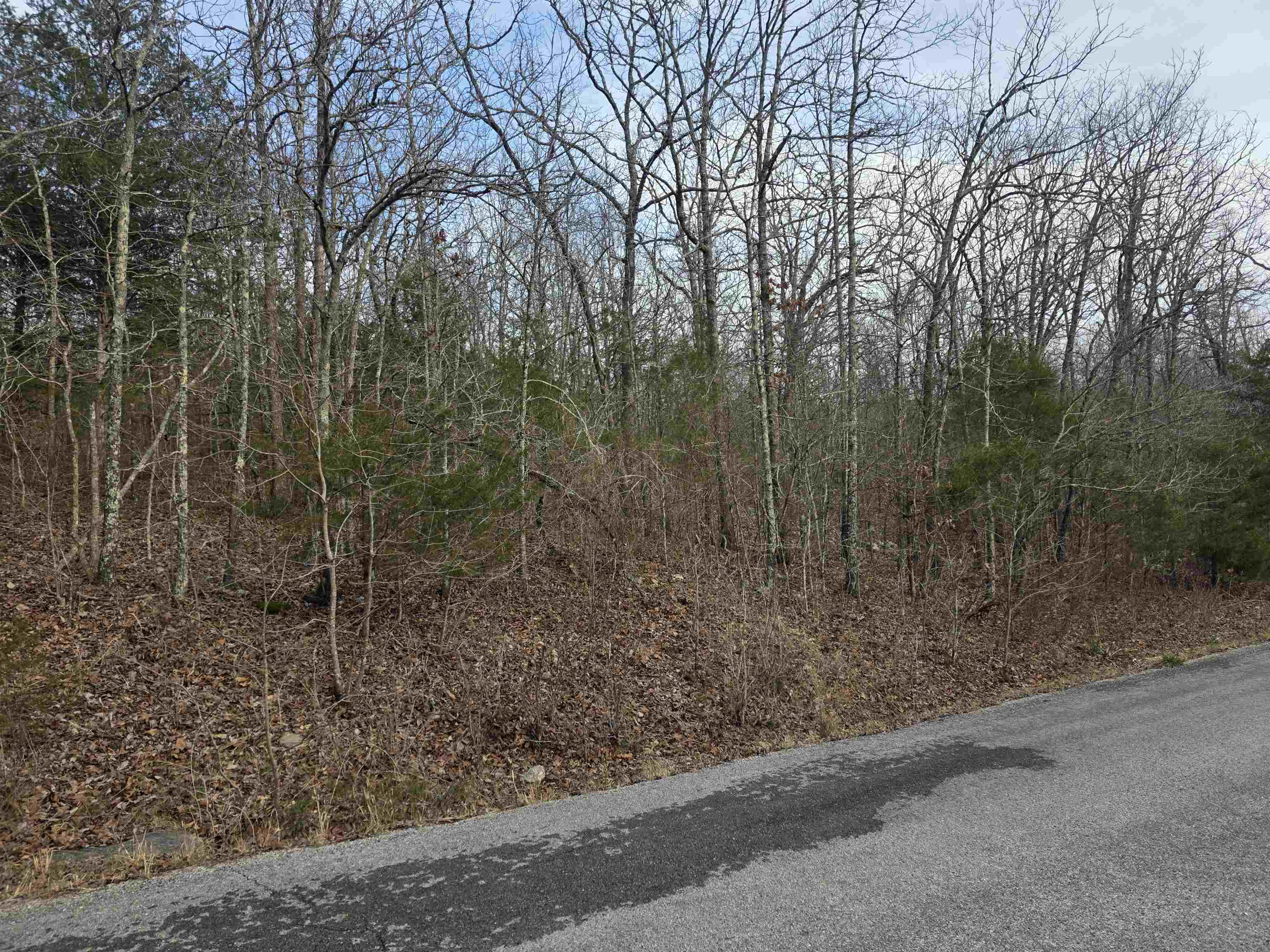 Ojibway First - Land