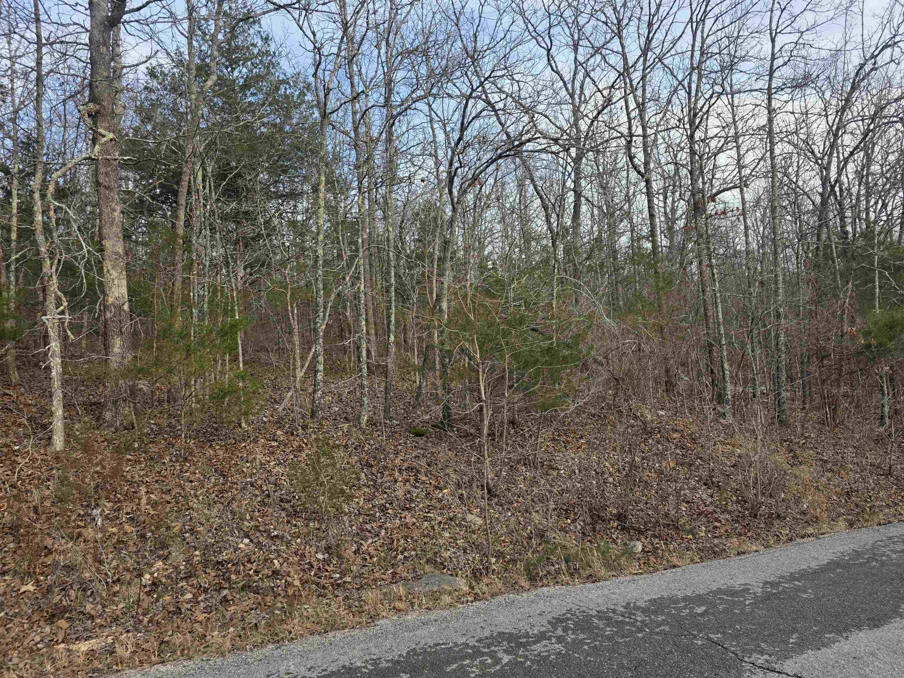 Ojibway First - Land