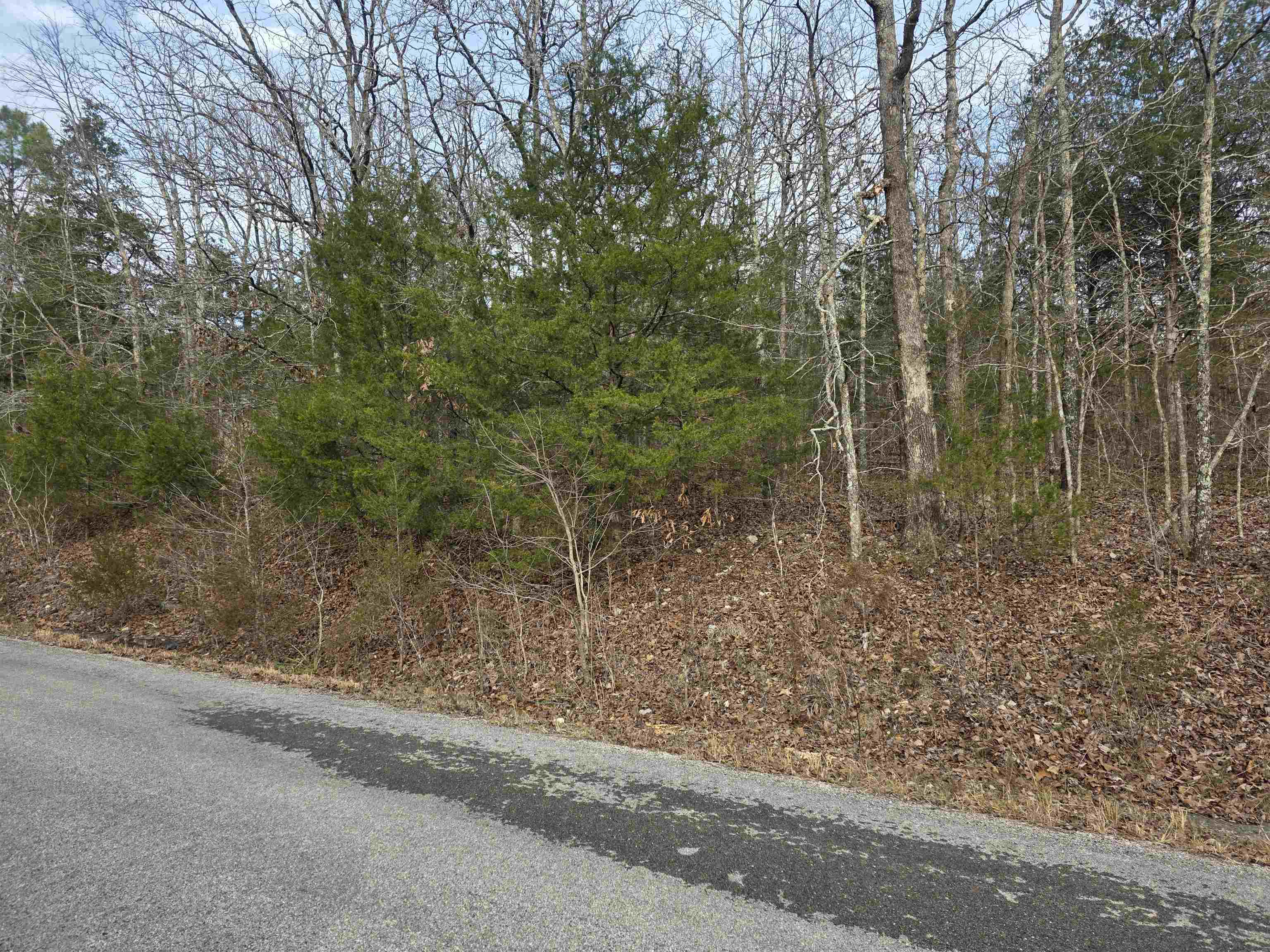 Ojibway First - Land