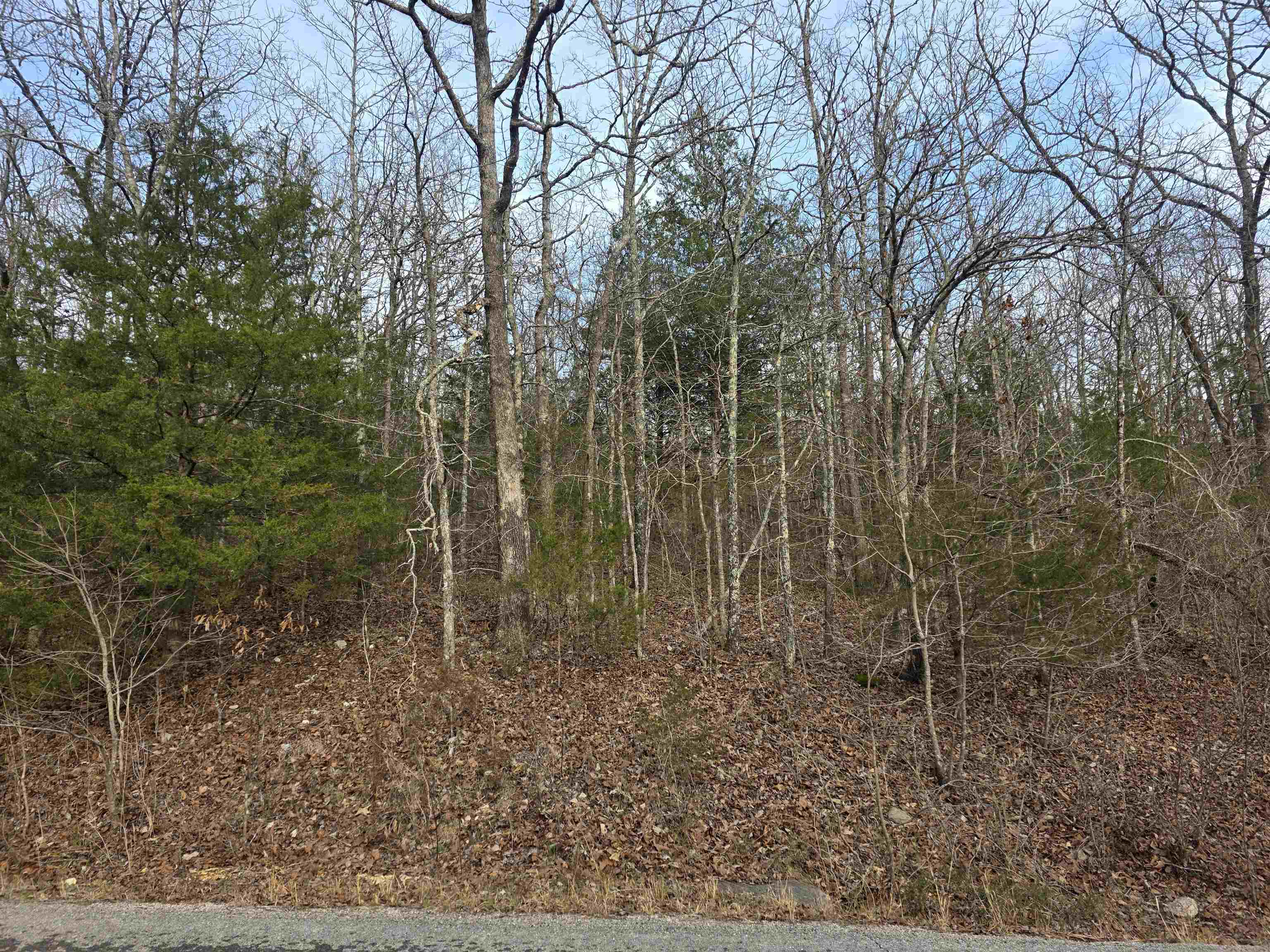 Ojibway First - Land